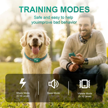 Heaflex 2-Dog Electric Training Collar With Remote Shock Collar For 2 Dogs Tailored For Small Dogs 5-120 Lbs Dogs, 2600ft Range, 3 Training Modes, Ipx7 Waterproof, Touchscreen Control