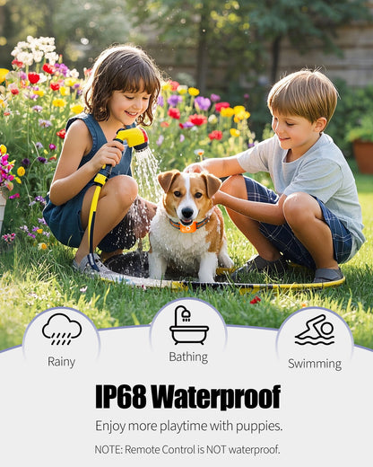 Heaflex Dog Shock Collar with Remote Rechargeable 2600FT for 5-120lbs Dogs IP68 Waterproof  with Beep, Vibration, Shock, Security Lock, Orange