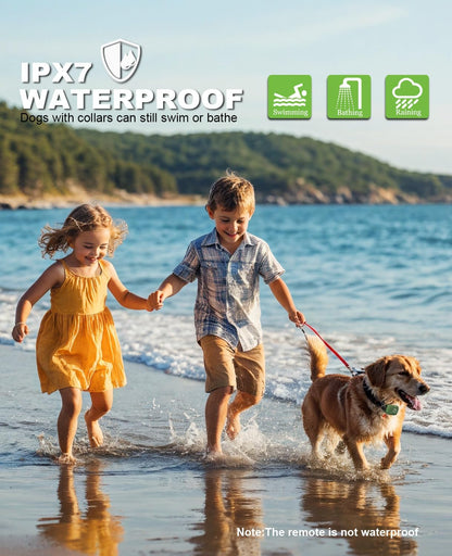 Dog Shock Collar with Remote - 2600Ft Range, 3 Training Modes (Vibration, Beep, Shock), IPX7 Waterproof - Safe & Humane E-Collar for Large Medium Small Dogs, Adjustable Levels (Gray)