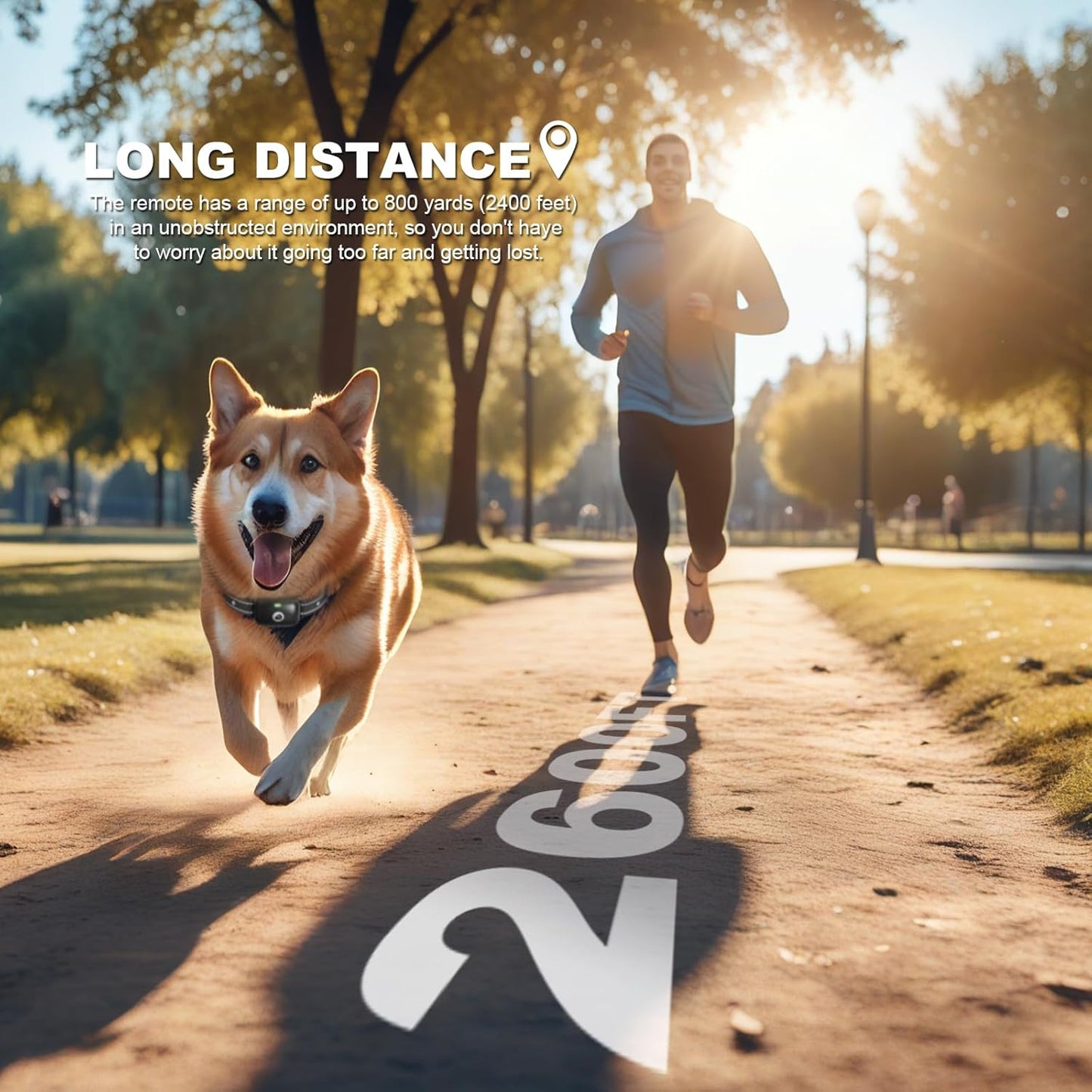 Dog Training Collar Accessory, Replacement Dog Shock Collar Remote Control, for D10 Series (Green)