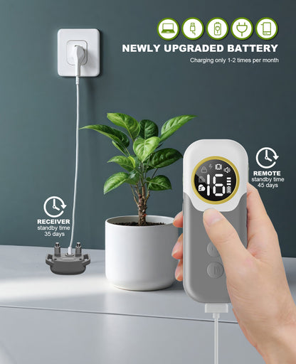 Dog Shock Collar with Remote - 2600Ft Range, 3 Training Modes (Vibration, Beep, Shock), IPX7 Waterproof - Safe & Humane E-Collar for Large Medium Small Dogs, Adjustable Levels (Gray)